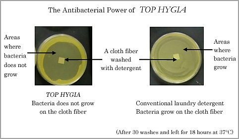 The Antibacterial Power of TOP HYGIA