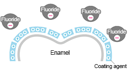 Helping Fluoride Remain on Teeth