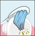 �����α�