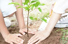 CSR(環境・社会)活動