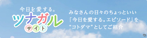 今日を愛する。ツナガルサイト