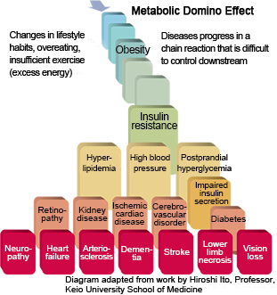 Metabolic Domino Effect