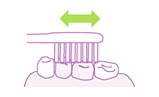 Place the toothbrush perpendicular against the teeth, and brush in small motions.