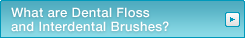 What are Dental Floss and Interdental Brushes?