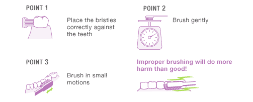 Place the bristles correctly against the teeth and brush with moderate force.