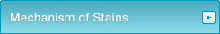 Mechanism of Stains