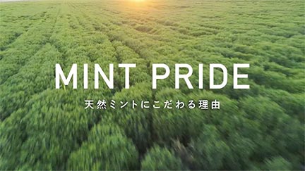 MINT PRIDE