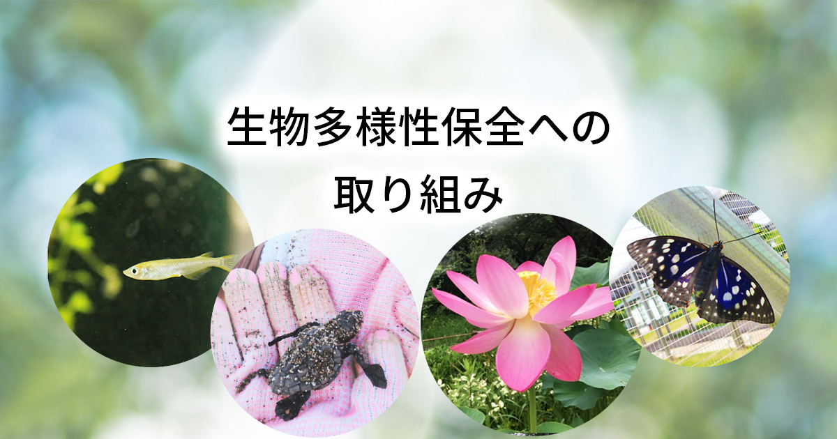 平井研究所｜生物多様性保全への取り組み｜サステナビリティ | ライオン株式会社