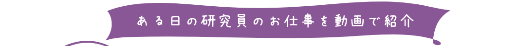 ある日の研究員のお仕事を動画で紹介