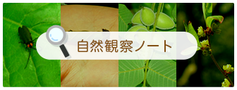 自然観察ノート