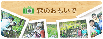 森のおもいで