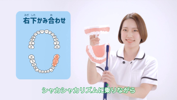 動画（みがきかた編）