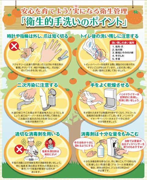 Key points of hygienic hand washing