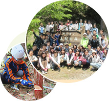 The Lion Forest in Yamanashi