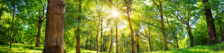 Aiming for Sustainable Raw Material Procurement